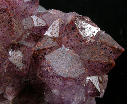 Quartz var. Amethyst with Hematite from Thunder Bay, Ontario, Canada
