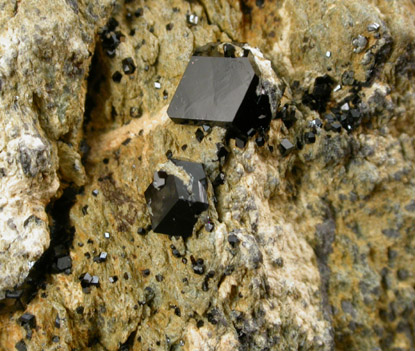 Andradite Garnet var. Melanite from New Idria District, San Benito County, California