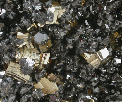 Pyrite with Sphalerite var. Marmatite from Gilman District, Eagle County, Colorado