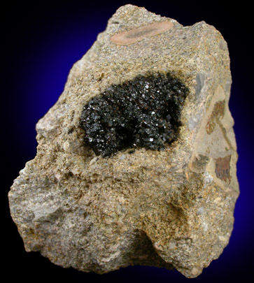 Andradite Garnet from SR 222 highway construction, Shillington, Berks County, Pennsylvania