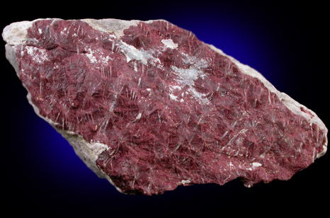 Piemontite from Piney Mountain, SE flank, Adams County, Pennsylvania