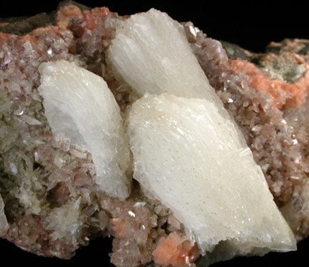 Stilbite with Heulandite from Baxter's Harbor, Nova Scotia, Canada