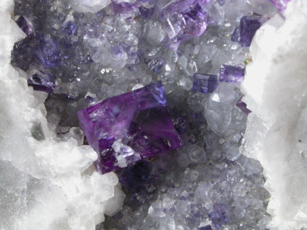 Fluorite on Calcite from Burkholder Quarry, Hinkletown, Lancaster County, Pennsylvania