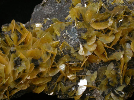 Wulfenite from Defiance Mine, Courtland-Gleeson District, Cochise County, Arizona