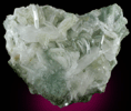 Hydroxyapophyllite-(K) (formerly apophyllite-(KOH)) on Prehnite from Fauquier County, Virginia