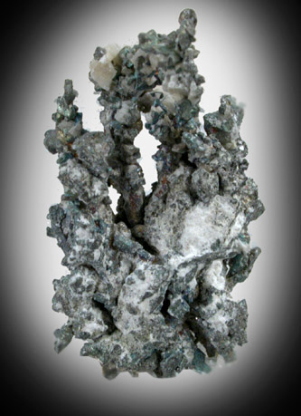 Silver with Calcite from Andres del Rio District, Batopilas, Chihuahua, Mexico