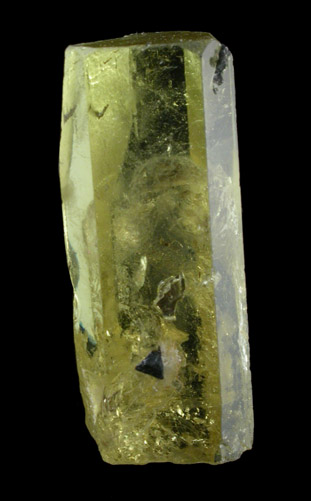 Beryl var. Heliodor with Schorl Tourmaline from Minas Gerais, Brazil