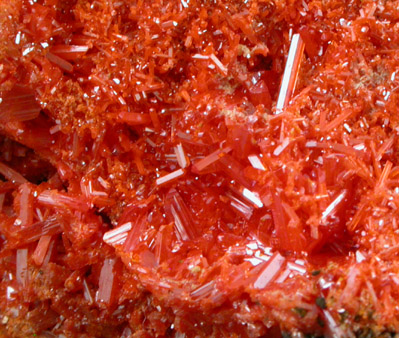 Crocoite from Dundas, Tasmania, Australia