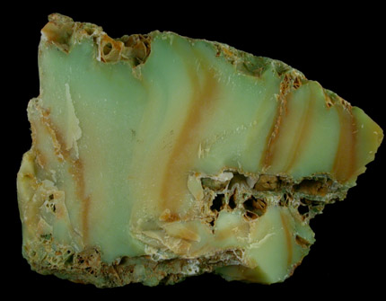 Quartz var. Cellular (nickel-rich) from Thio, New Caledonia