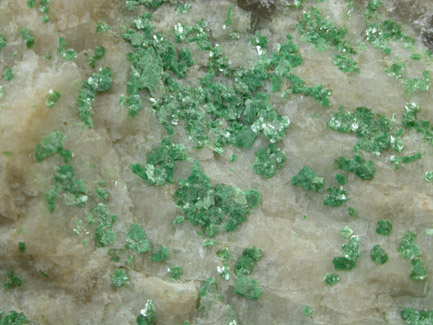 Torbernite from Spruce Pine, Mitchell County, North Carolina