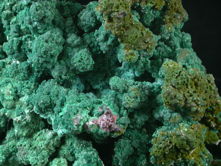 Malachite over Cuprite from Tsumeb Mine, Otavi-Bergland District, Oshikoto, Namibia