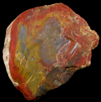 Quartz var. Petrified Wood from Petrified Forest, Apache County, Arizona