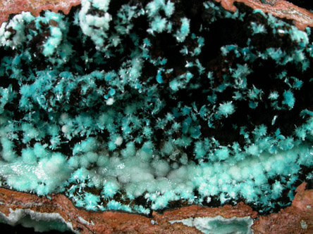 Aurichalcite and Calcite from Mina Ojuela, Mapimi, Durango, Mexico