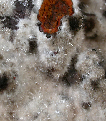 Hydrozincite with Plattnerite from Mina Ojuela, Mapimi, Durango, Mexico