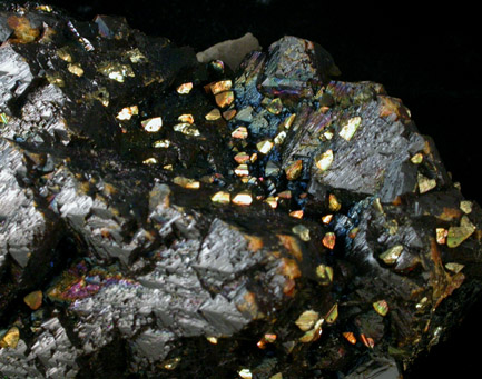 Sphalerite and Chalcopyrite from Ballard Mine, Baxter Springs, Cherokee County, Kansas