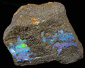 Opal var. Precious Opal from Barcoo River, Queensland, Australia