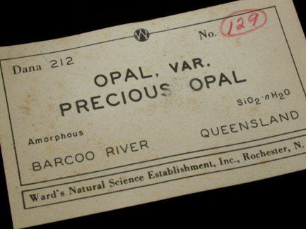 Opal var. Precious Opal from Barcoo River, Queensland, Australia