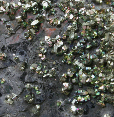 Pyrite on Galena from Stoskopf Mine, Baxter Springs, Cherokee County, Kansas