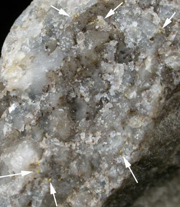 Gold in Quartz from Buena Vista, Chaffee County, Colorado