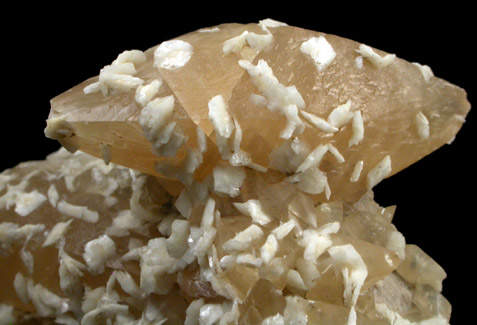 Barite on Calcite from Pugh Quarry, 6 km NNW of Custar, Wood County, Ohio