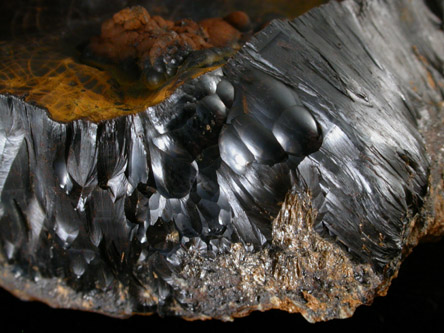 Goethite from near Wagner College, northeastern Staten Island, New York City, New York