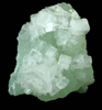 Hydroxyapophyllite-(K) (formerly apophyllite-(KOH)) on Prehnite from Fairfax Quarry, 6.4 km west of Centreville, Fairfax County, Virginia