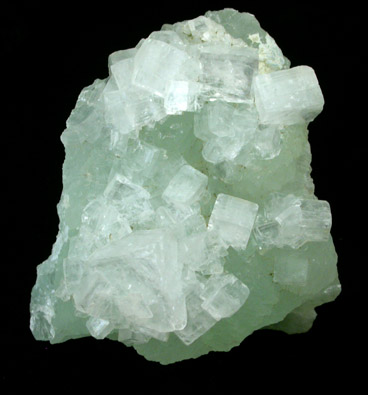 Hydroxyapophyllite-(K) (formerly apophyllite-(KOH)) on Prehnite from Fairfax Quarry, 6.4 km west of Centreville, Fairfax County, Virginia