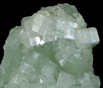 Hydroxyapophyllite-(K) (formerly apophyllite-(KOH)) on Prehnite from Fairfax Quarry, 6.4 km west of Centreville, Fairfax County, Virginia