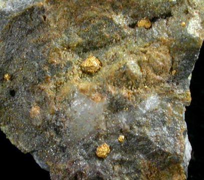 Gold with Tellurides from Boulder County, Colorado