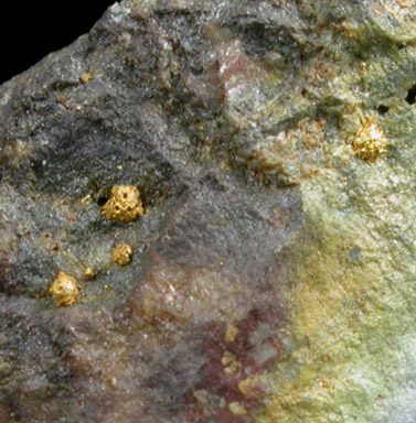 Gold with Tellurides from Boulder County, Colorado