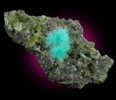 Aurichalcite on Smithsonite from 79 Mine, Banner District, near Hayden, Gila County, Arizona