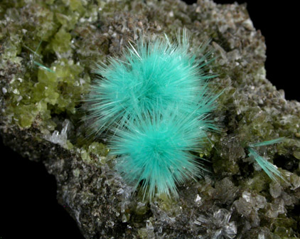 Aurichalcite on Smithsonite from 79 Mine, Banner District, near Hayden, Gila County, Arizona