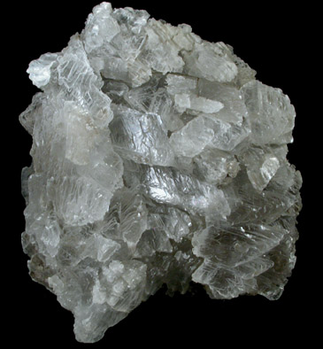 Gypsum var. Selenite from Fayetteville, east of Syracuse, Onondaga County, New York