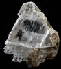 Gypsum var. Selenite from Lockport, Niagara County, New York