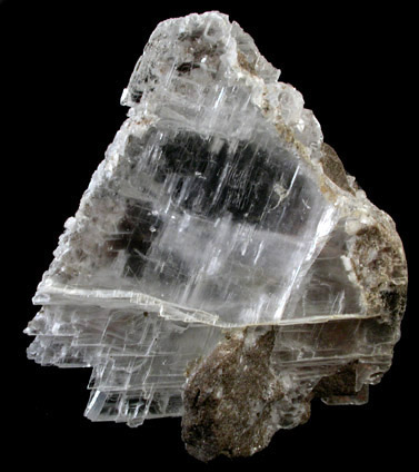 Gypsum var. Selenite from Lockport, Niagara County, New York