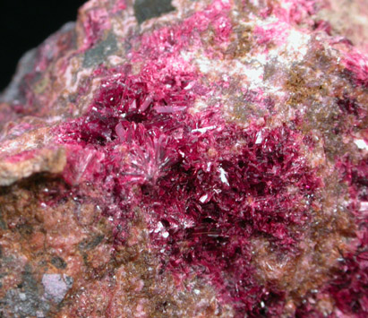 Erythrite with Skutterudite var. Smaltite from Bou Azzer District, Anti-Atlas Mountains, Tazenakht, Ouarzazate, Morocco (Type Locality for Erythrite)