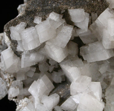 Dolomite from Penfield Quarry, Monroe County, New York