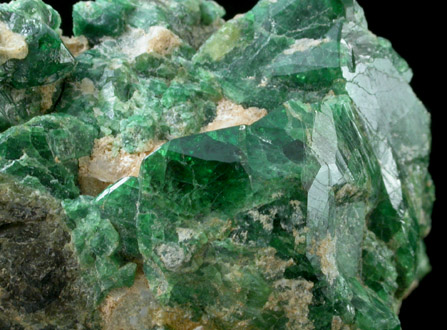 Vesuvianite (Idocrase) from Douglas Hill Mine, Ludwig, Lyon County, Nevada
