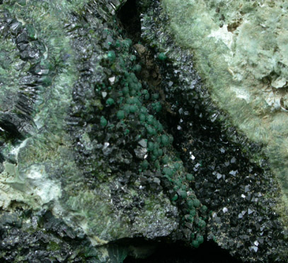 Olivenite and Malachite from Tsumeb Mine, Otavi-Bergland District, Oshikoto, Namibia
