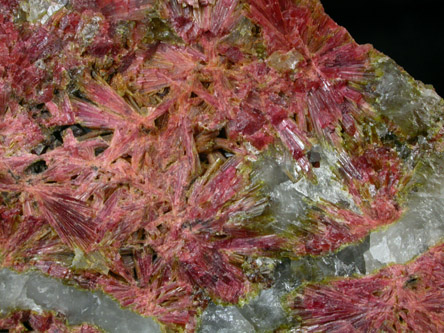 Clinozoisite with Quartz and Epidote from Rancho de Tepueste, Alamos, Sonora, Mexico