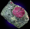 Corundum var. Ruby from Letaba District, Guateng Province (formerly Transvaal), South Africa