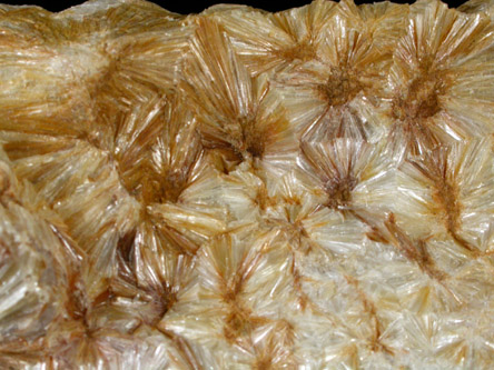 Pyrophyllite-2M from Hillsborough, Orange County, North Carolina