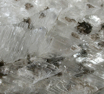 Gypsum var. Selenite from Rochester, Monroe County, New York