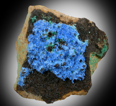 Cyanotrichite with Brochantite from Mina Vieja, Potrerillos, Atacama, Chile