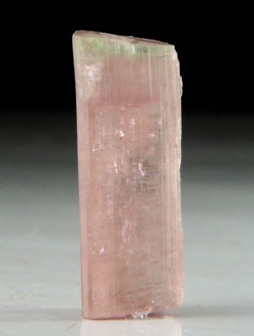 Elbaite var. Rubellite Tourmaline from Himalaya Mine, Mesa Grande District, San Diego County, California