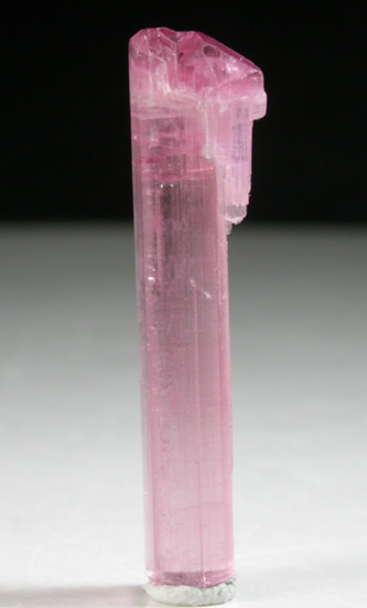 Elbaite var. Rubellite Tourmaline from Himalaya Mine, Mesa Grande District, San Diego County, California