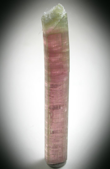 Elbaite var. Rubellite Tourmaline from Himalaya Mine, Mesa Grande District, San Diego County, California