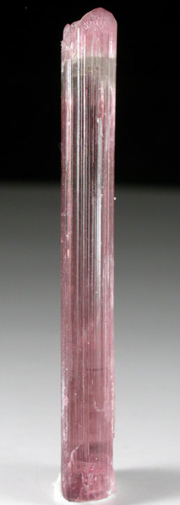 Elbaite var. Rubellite Tourmaline from Himalaya Mine, Mesa Grande District, San Diego County, California