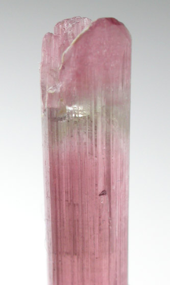 Elbaite var. Rubellite Tourmaline from Himalaya Mine, Mesa Grande District, San Diego County, California