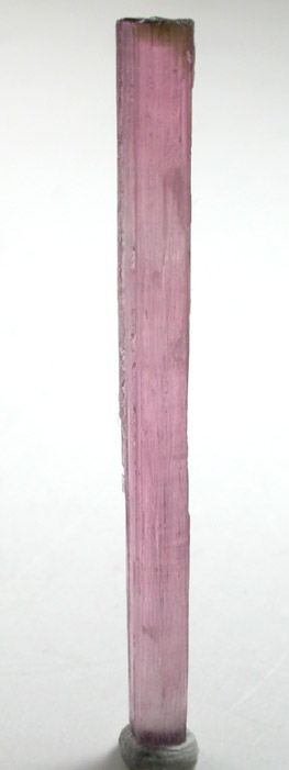 Elbaite var. Rubellite Tourmaline from Himalaya Mine, Mesa Grande District, San Diego County, California